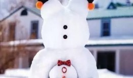 石家庄爆料雪人视频,冬日奇观之谜