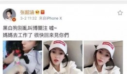 黑料大爆料视频网站,视频网站背后的惊人真相