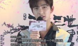 刘亦菲杨洋爆料视频,幕后真相引热议