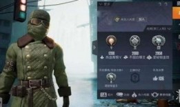 和平精英衣服爆料视频,揭秘爆料视频中的神秘时装